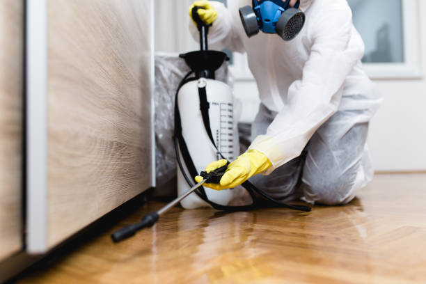 Best Pest Control for Restaurants  in Morrilton, AR