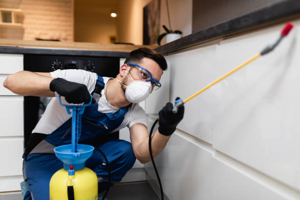 Best Pest Prevention Services  in Morrilton, AR