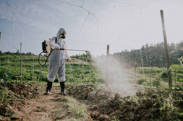Best Best Pest Control Companies  in Morrilton, AR
