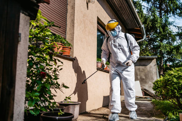 Best Pest Prevention Services  in Morrilton, AR