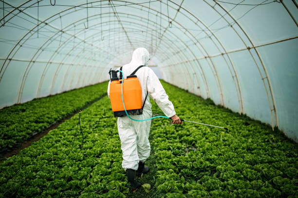 Best Best Pest Control Near Me  in Morrilton, AR