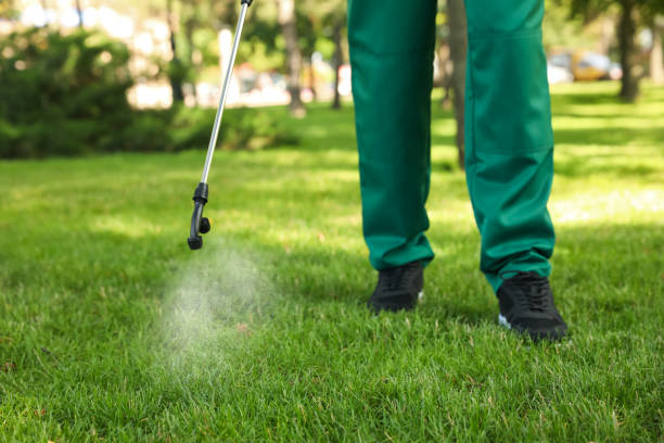 Best Commercial Pest Control Services  in Morrilton, AR