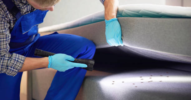Best Cockroach Control Services  in Morrilton, AR