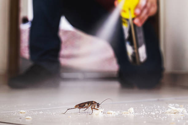 Best Pest Control for Homes  in Morrilton, AR