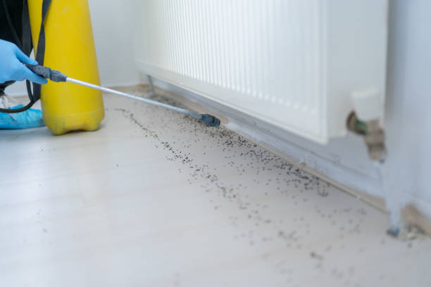 Morrilton, AR Pest Control Company