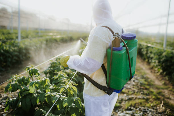Best Exterminator Services  in Morrilton, AR